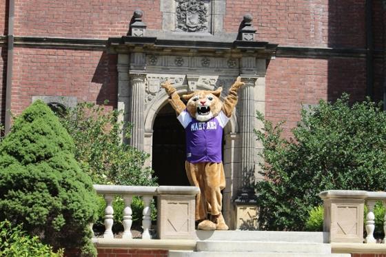 Photo of Chatham University's mascot, Carson Cougar, posing in front of a red brick building on Shadyside Campus